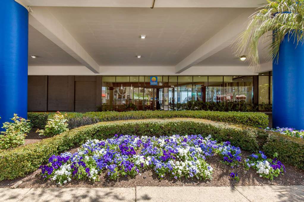 Coastal Hotel & Suites Virginia Beach - Oceanfront Экстерьер фото